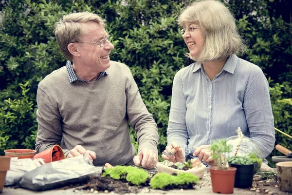 Senior paar verzamelen planten — Stockfoto