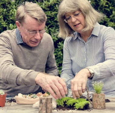 Üst düzey çift toplama tesisleri 
