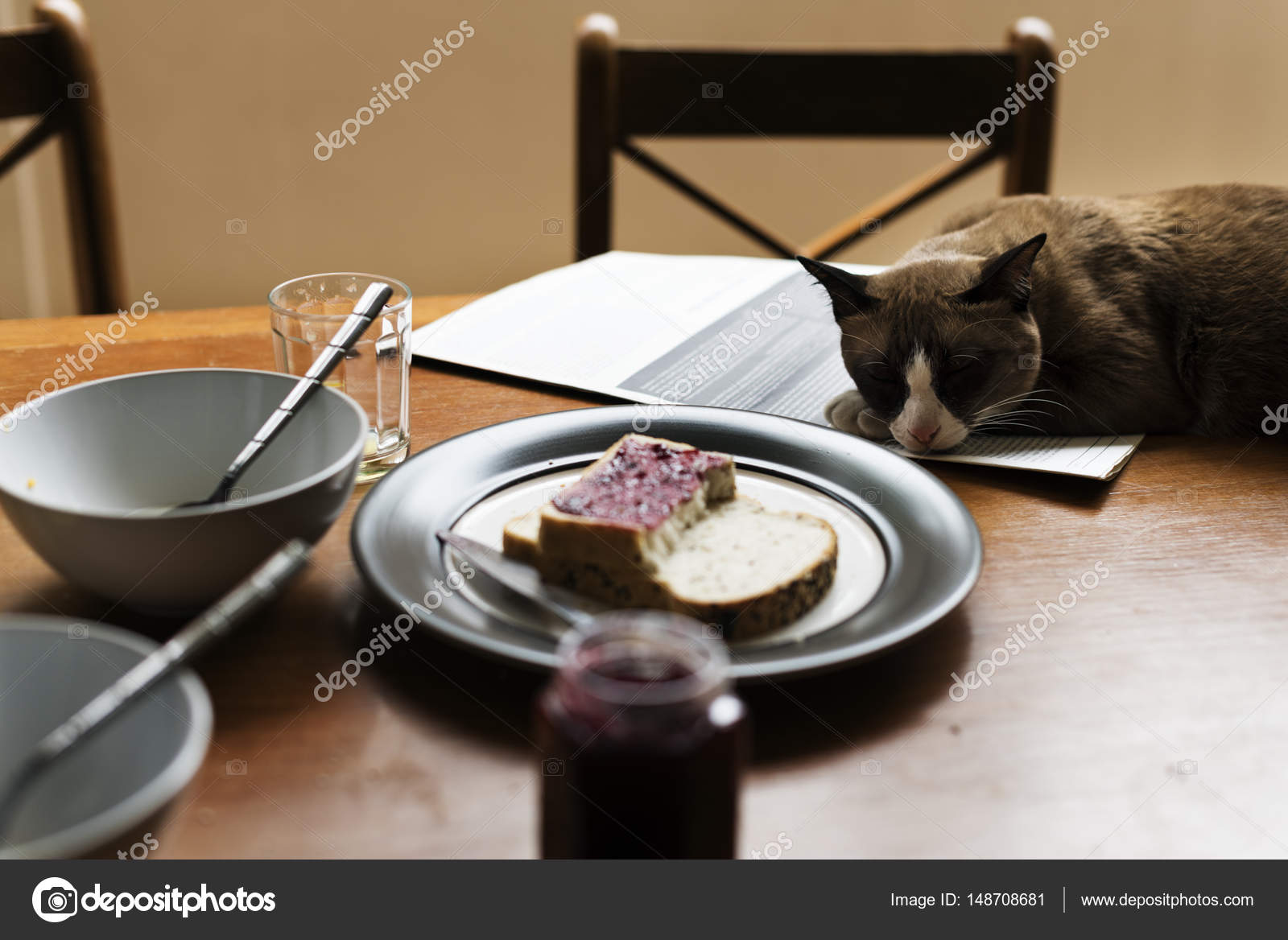 Cat Sitting On Table Stock Photo Rawpixel 148708681 Cat Sitting On Table With Business Newspaper Concept Original Photoset Photo By Rawpixel