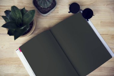 Boş defter ve kaktüs bitki