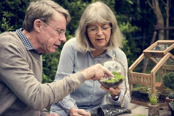 Pasangan senior mengumpulkan tanaman — Stok Foto