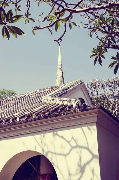 Église sur les arbres pendant la journée — Photo