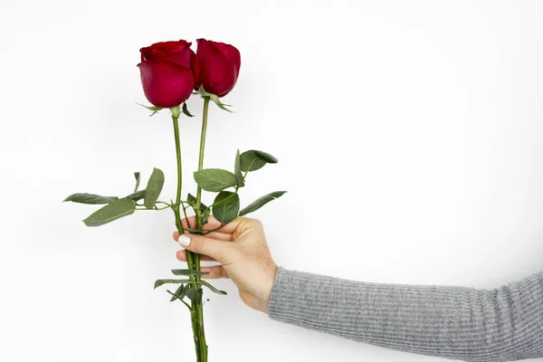 Mulher segurando rosas — Fotografia de Stock
