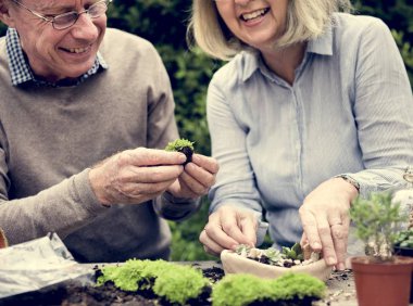 Üst düzey çift toplama tesisleri 