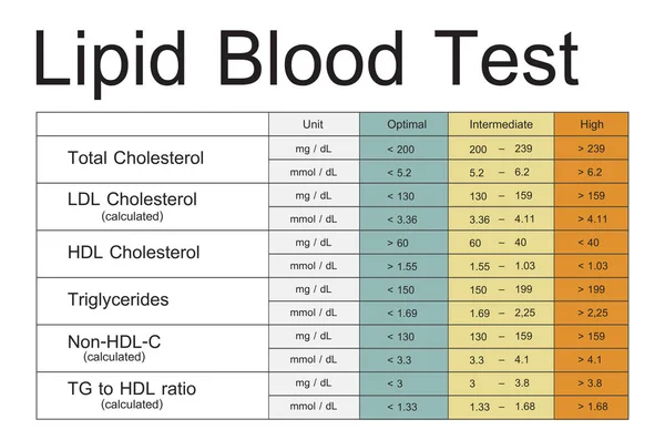 Шаблон с концепцией Lipid Blood Test — стоковое фото