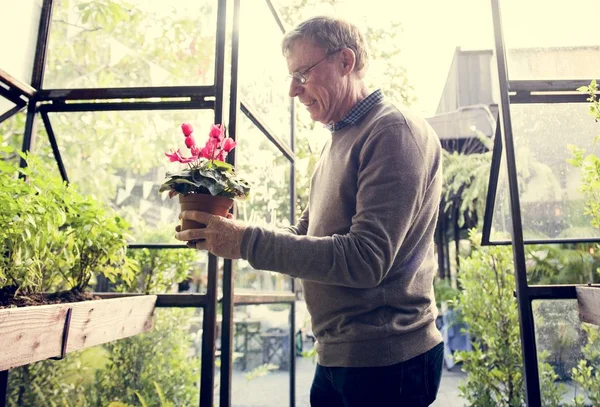 Старший мужчина с растениями — стоковое фото