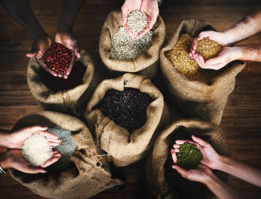 Farklı tür bir tohum holding eller