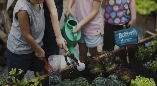 Bambini che imparano giardinaggio all'aperto — Foto Stock