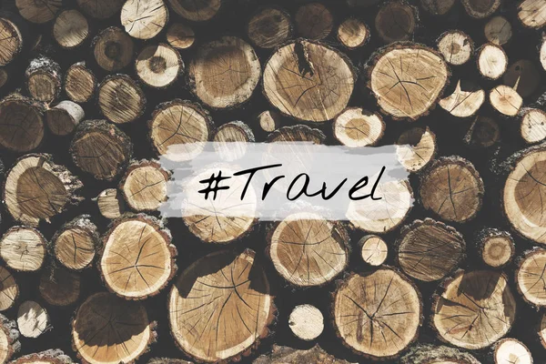 Woodent Δέντρο Καυσόξυλων Υλικό Υφή Κείμενο Ταξίδια — Φωτογραφία Αρχείου