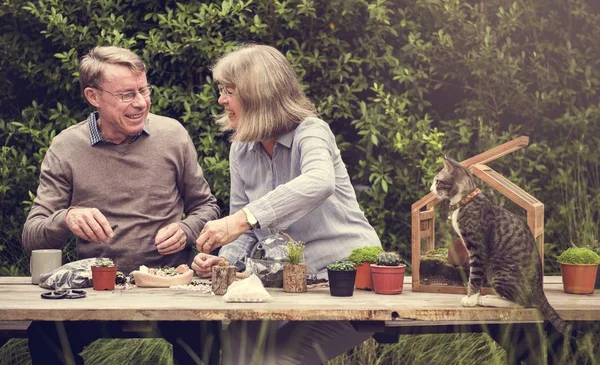 Senior paar aanplant vetplanten. — Stockfoto