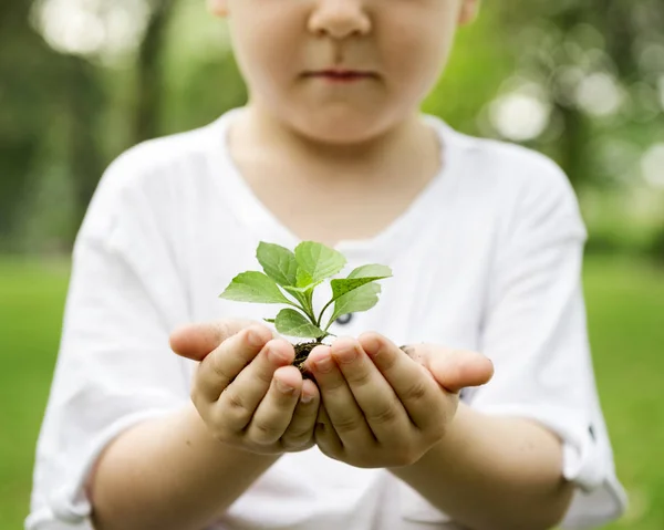 Küçük çocuk holding bitki — Stok fotoğraf