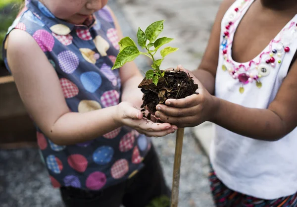 Niños sosteniendo la planta en el suelo —  Fotos de Stock