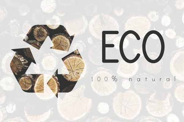 Woodent 质地材料 Eco — 图库照片