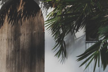 Ev ev bitki çevre dış yeşil yaprak, özgün photoset