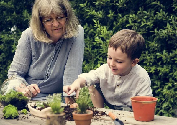Nenek dan cucu penanaman di kebun — Stok Foto