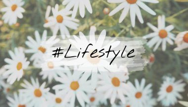 Chamomiles alanında, yakın çekim