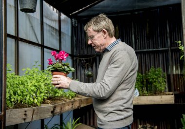 Komuta sizde çiçek tencereye holding