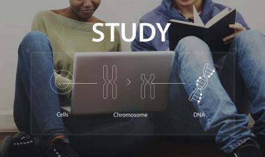 Öğrenciler dizüstü bilgisayar ve kitap ile öğrenme 