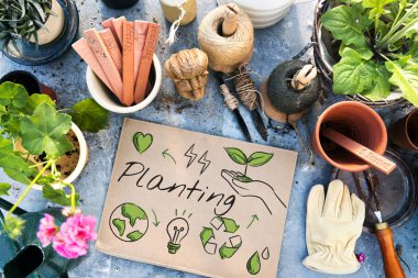 Kase masada bitkilerde 