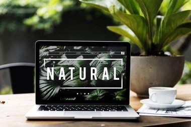 masada dizüstü laptop