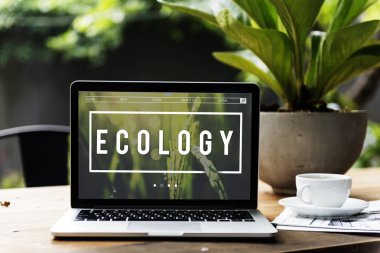 masada dizüstü laptop