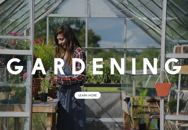 Vrouw tuinieren planten in kas — Stockfoto