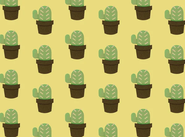 Cactus patrón de planta de interior —  Fotos de Stock