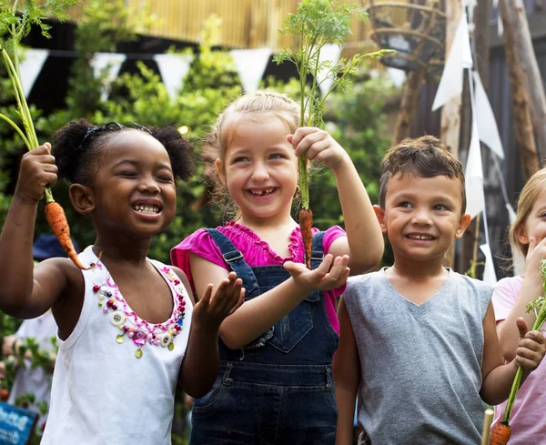 Děti zahradní rostliny mrkev — Stock fotografie