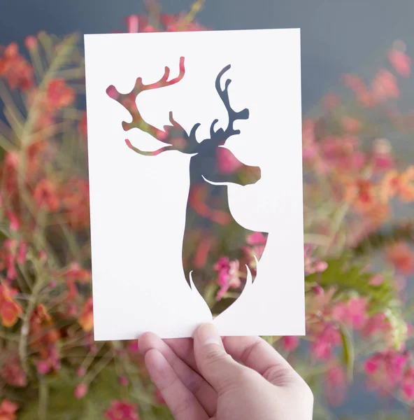 角紙彫刻自然の背景は 元の手を保持する鹿写真植字 — ストック写真