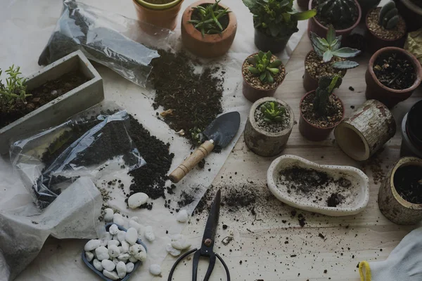 Tabel met de aanplant van hulpmiddelen — Stockfoto