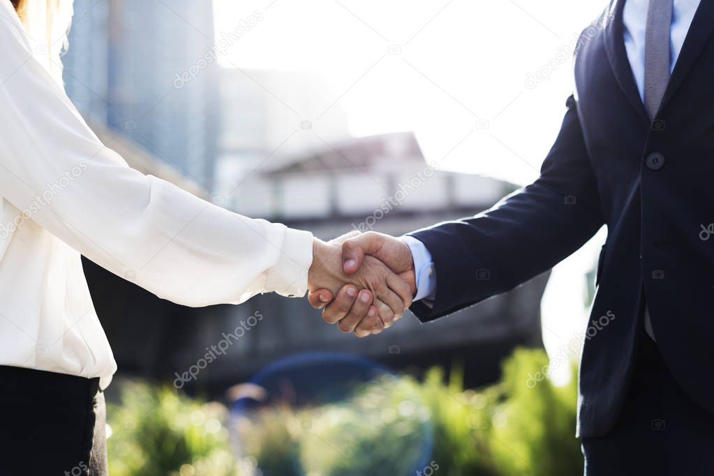 people shaking hands at business meeting