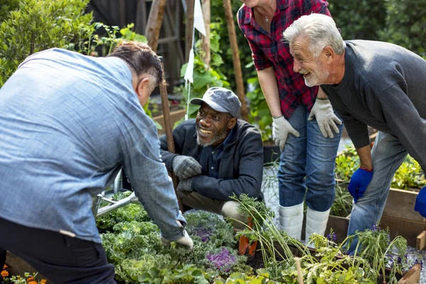 Personnes plantant des légumes en serre — Photo