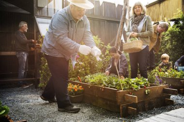 insanlar sebze dikim 