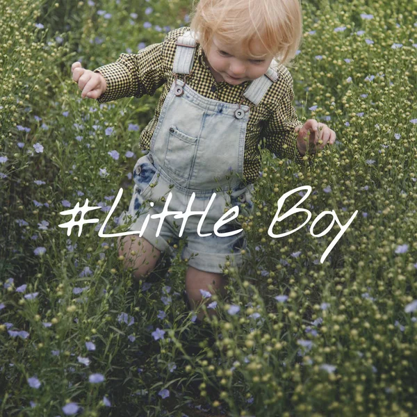 Pequeño niño rubio caminando en el campo — Foto de Stock