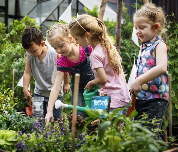 Bambini piccoli che curano il giardino — Foto Stock