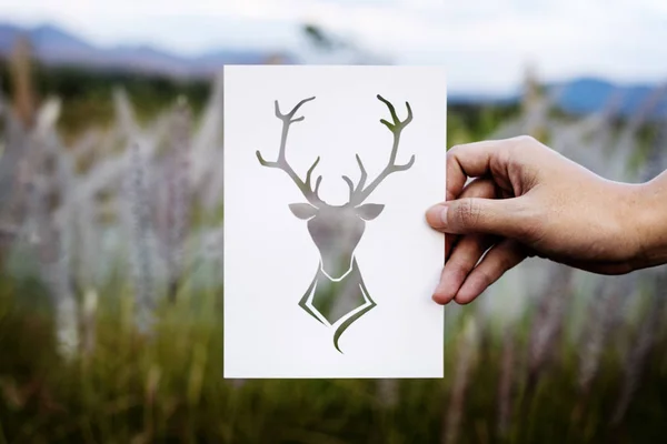 手抓鹿与鹿角纸雕自然 Photoset — 图库照片
