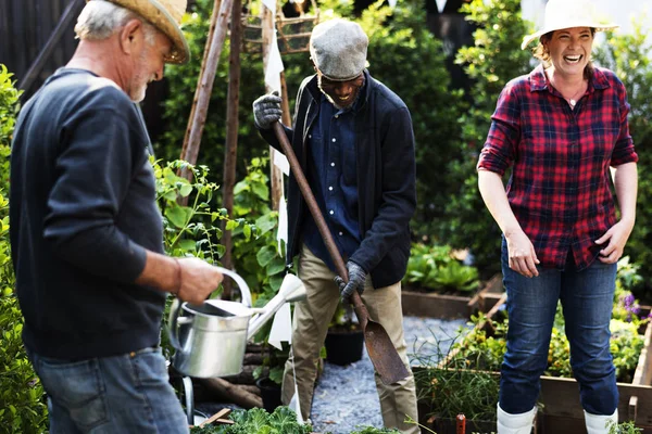 Pessoas plantando legumes — Fotografia de Stock