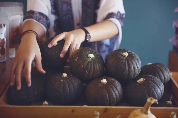 Woman choosing Pumpkin — Stock Photo, Image