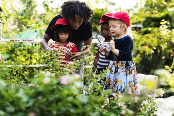 Profesor y niños aprendiendo ecología —  Fotos de Stock