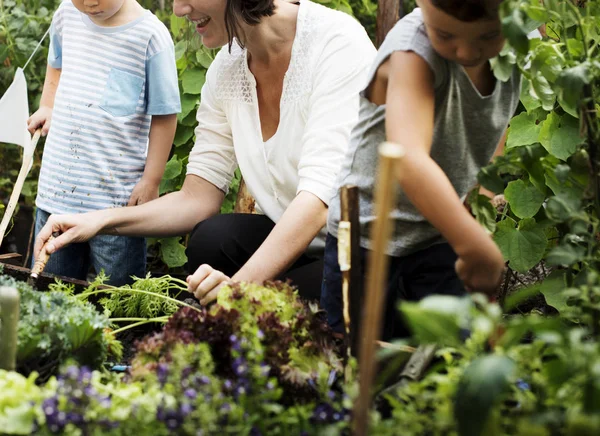 Niños cuidando el jardín con madre — Foto de Stock