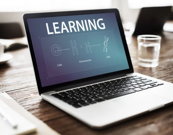 çalışma alanı tablo açılan laptop