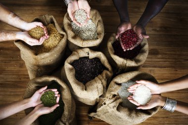 Tohum ve hububat holding eller