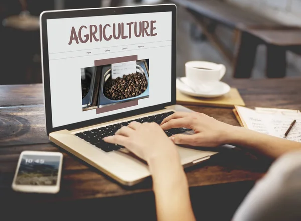 Mulher Digitando Laptop Com Agricultura Photoset Original — Fotografia de Stock