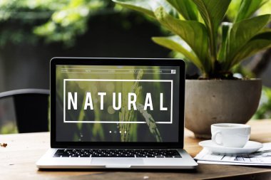 masada dizüstü laptop