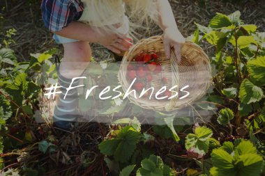 küçük çocuk Bahçe çilek