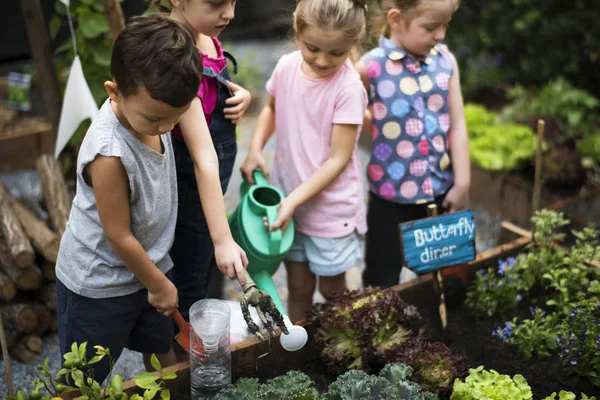Gruppo di scuola materna apprendimento giardinaggio — Foto Stock