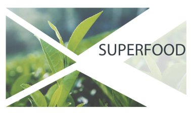 tasarım şablonu sayfa