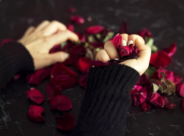 Mãos femininas com rosas vermelhas — Fotografia de Stock