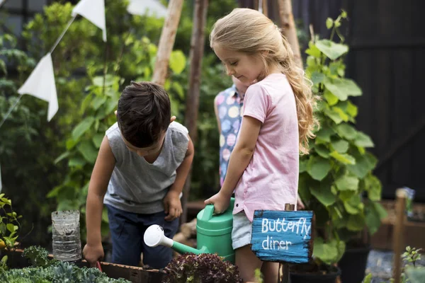 Kelompok taman kanak-kanak belajar berkebun — Stok Foto