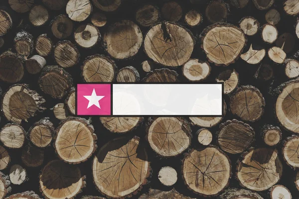 Pile of wood Trunks — Stock Photo, Image